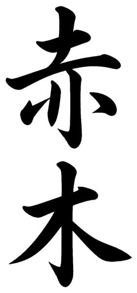 赤木