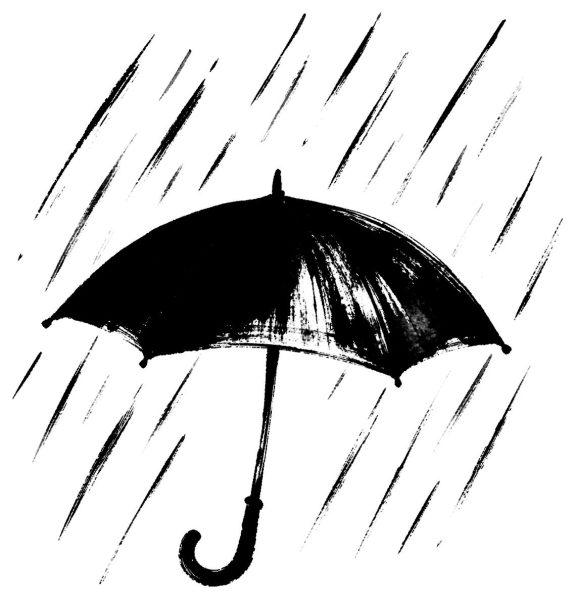 梅雨の雨