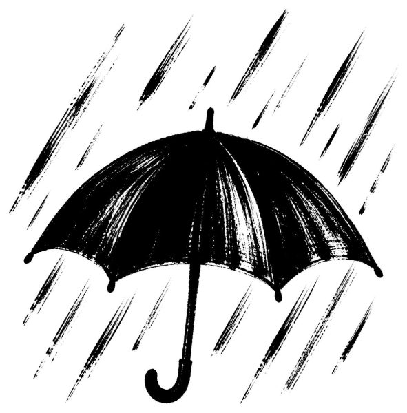 梅雨の雨