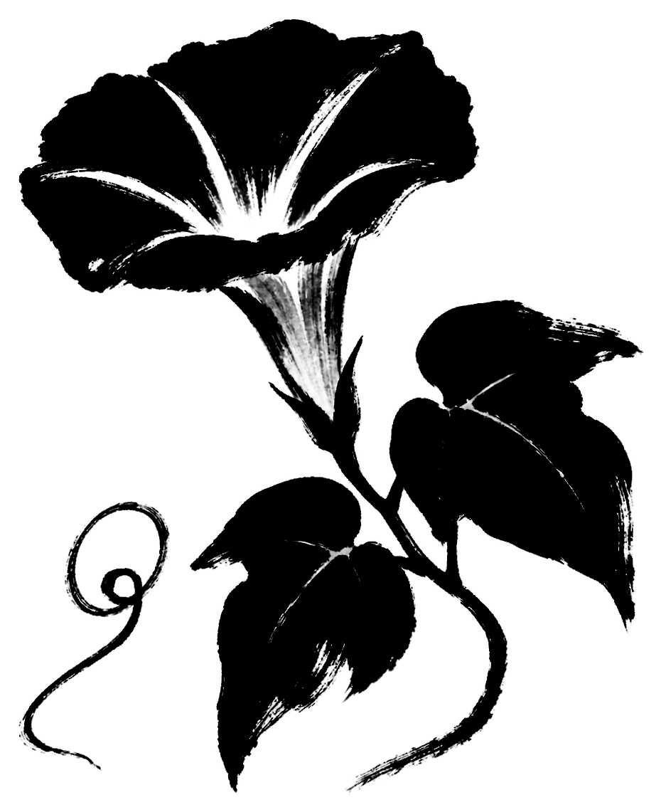 朝顔の筆文字フリー素材