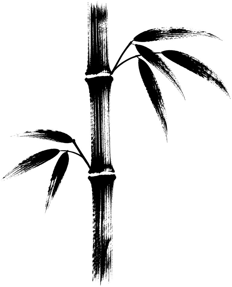竹