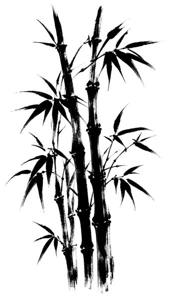 竹林