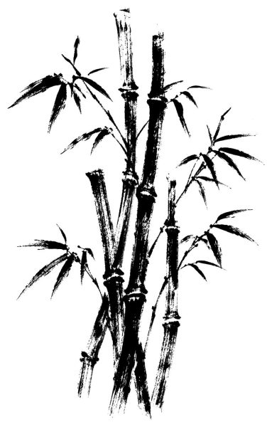 竹林