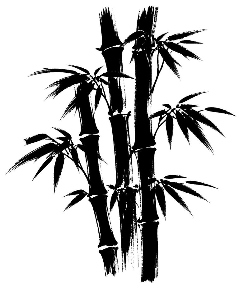 竹林