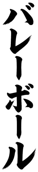 バレーボール