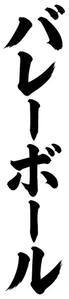 バレーボール