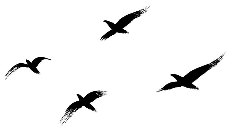 鳥の群れ