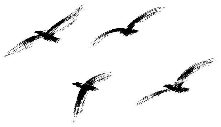 鳥の群れ