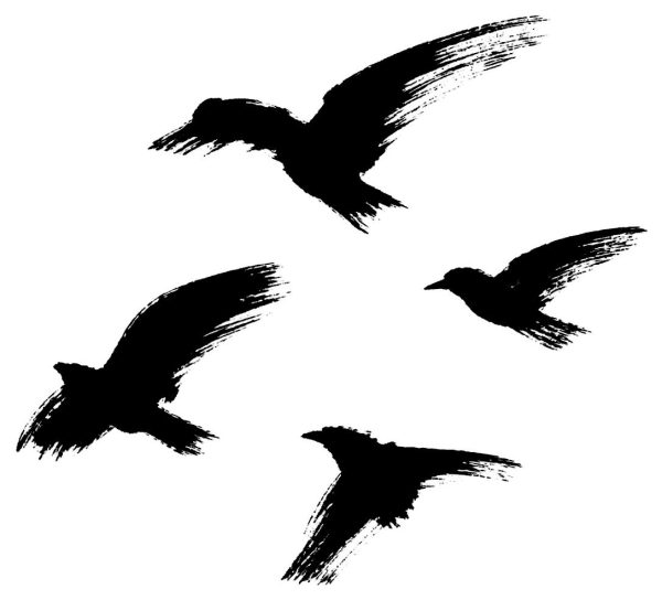 鳥の群れ