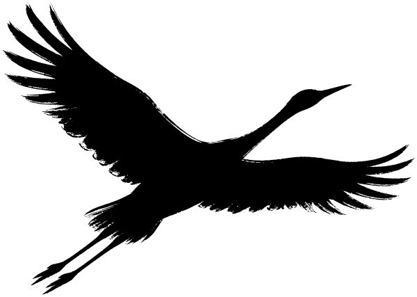 飛ぶ鳥