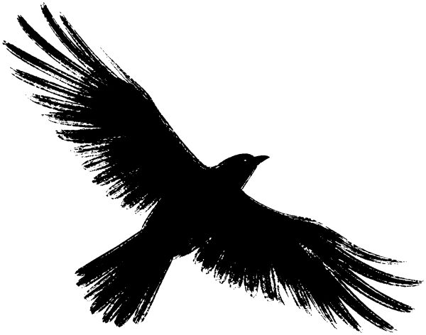 飛ぶ鳥