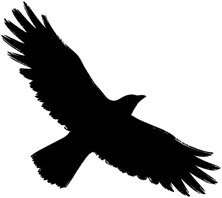 飛ぶ鳥