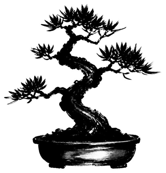 盆栽
