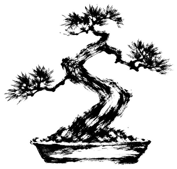 盆栽