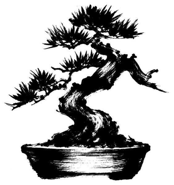 盆栽