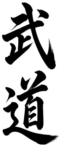 武道