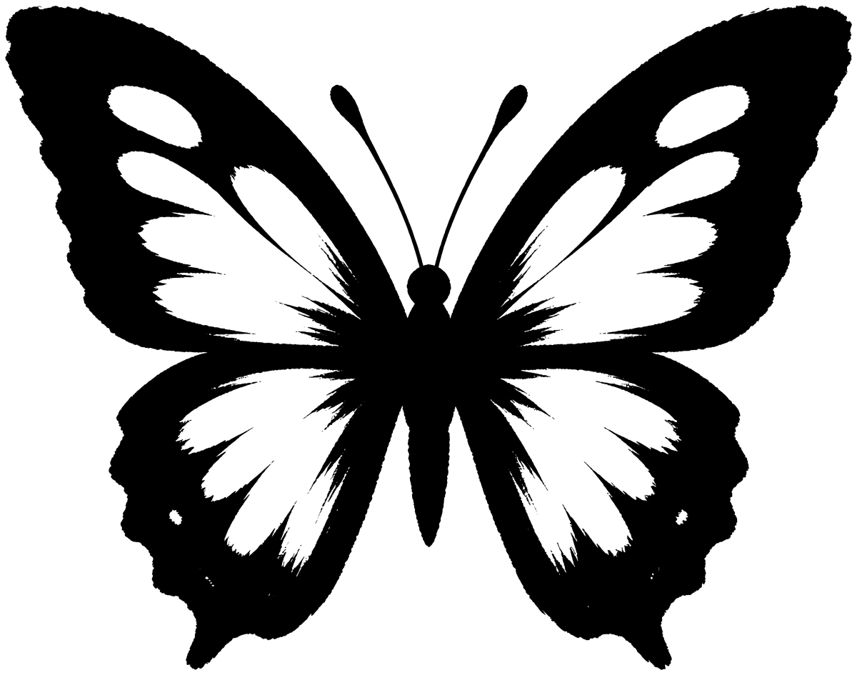 蝶の絵