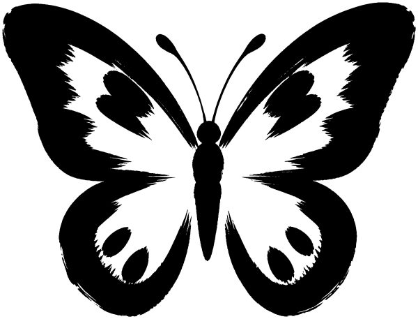 蝶の絵