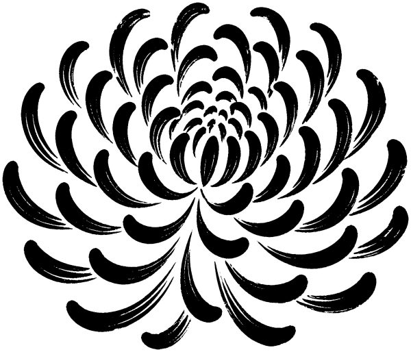 菊