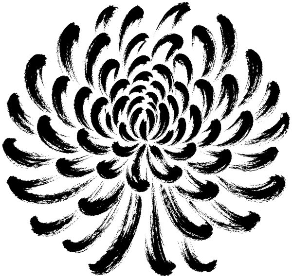 菊