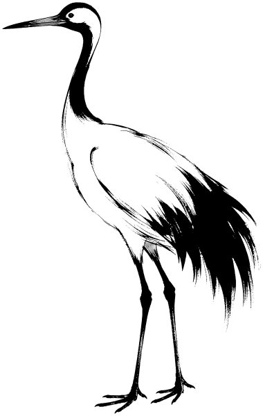 鶴