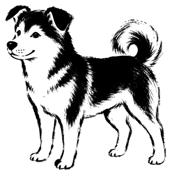 犬の絵