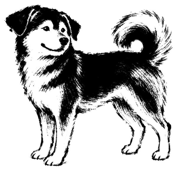 犬の絵