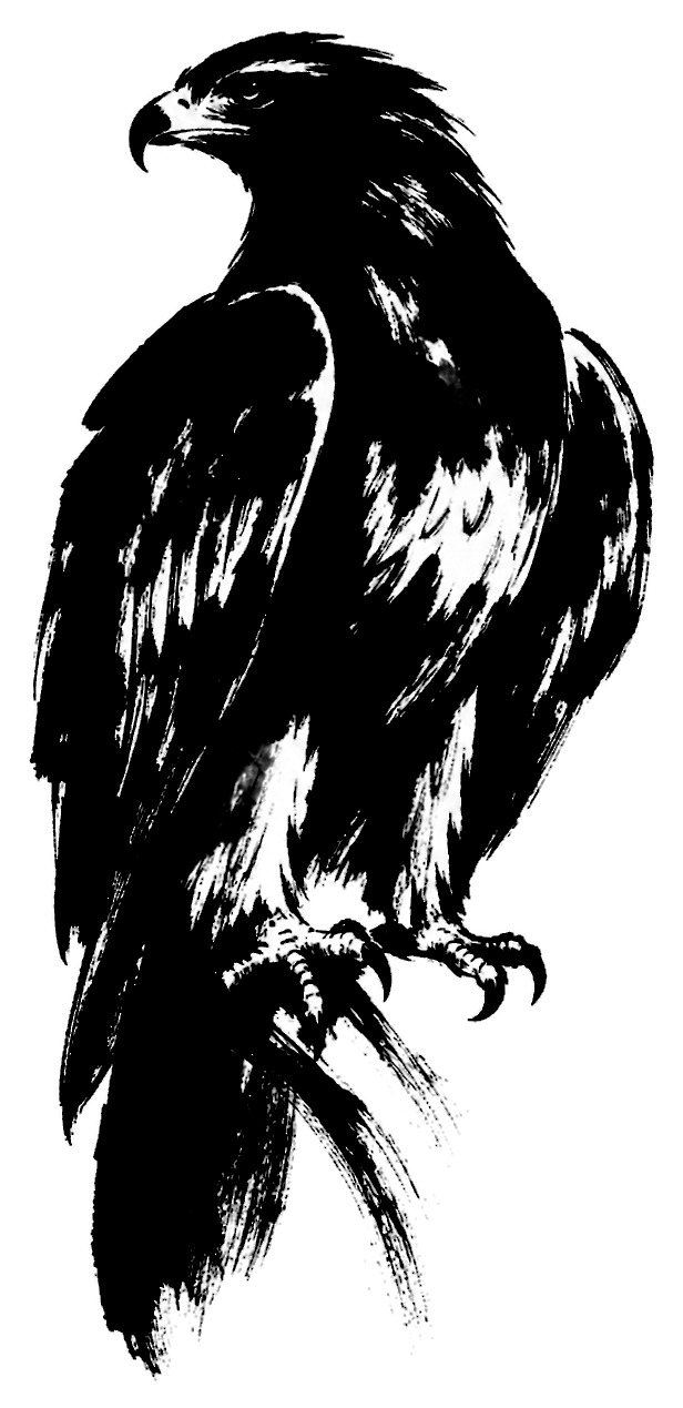鷹の絵