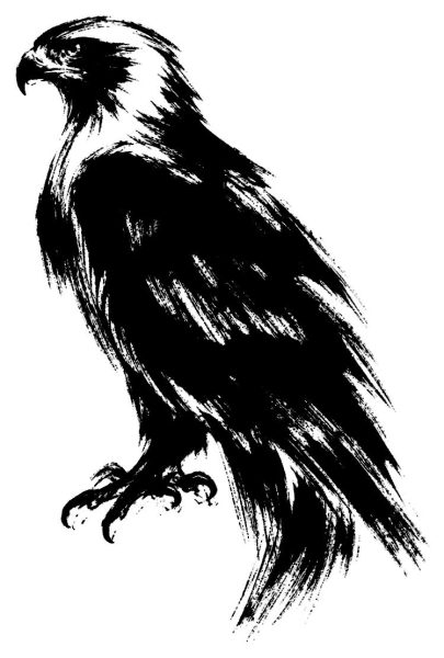 鷹の絵