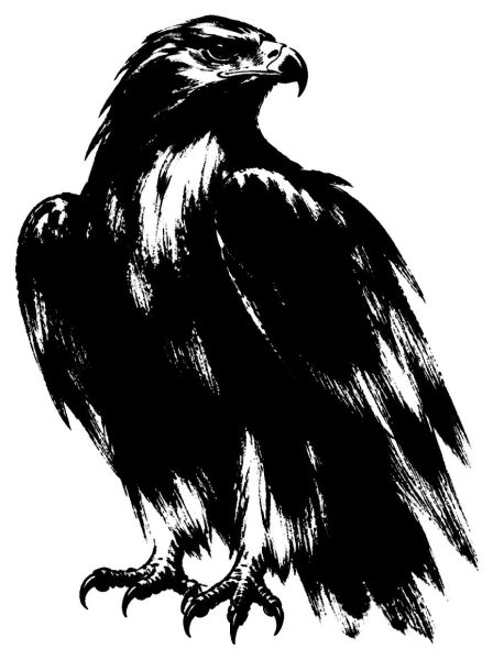 鷹の絵