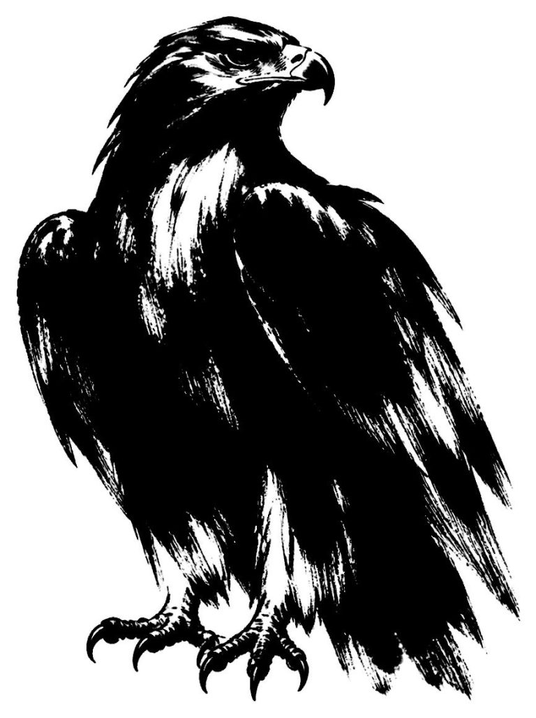 鷹の絵