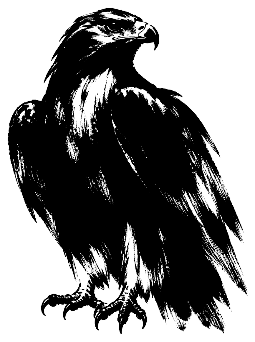 鷹の絵の筆文字フリー素材