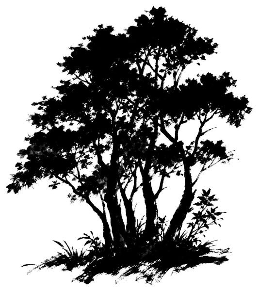 木立