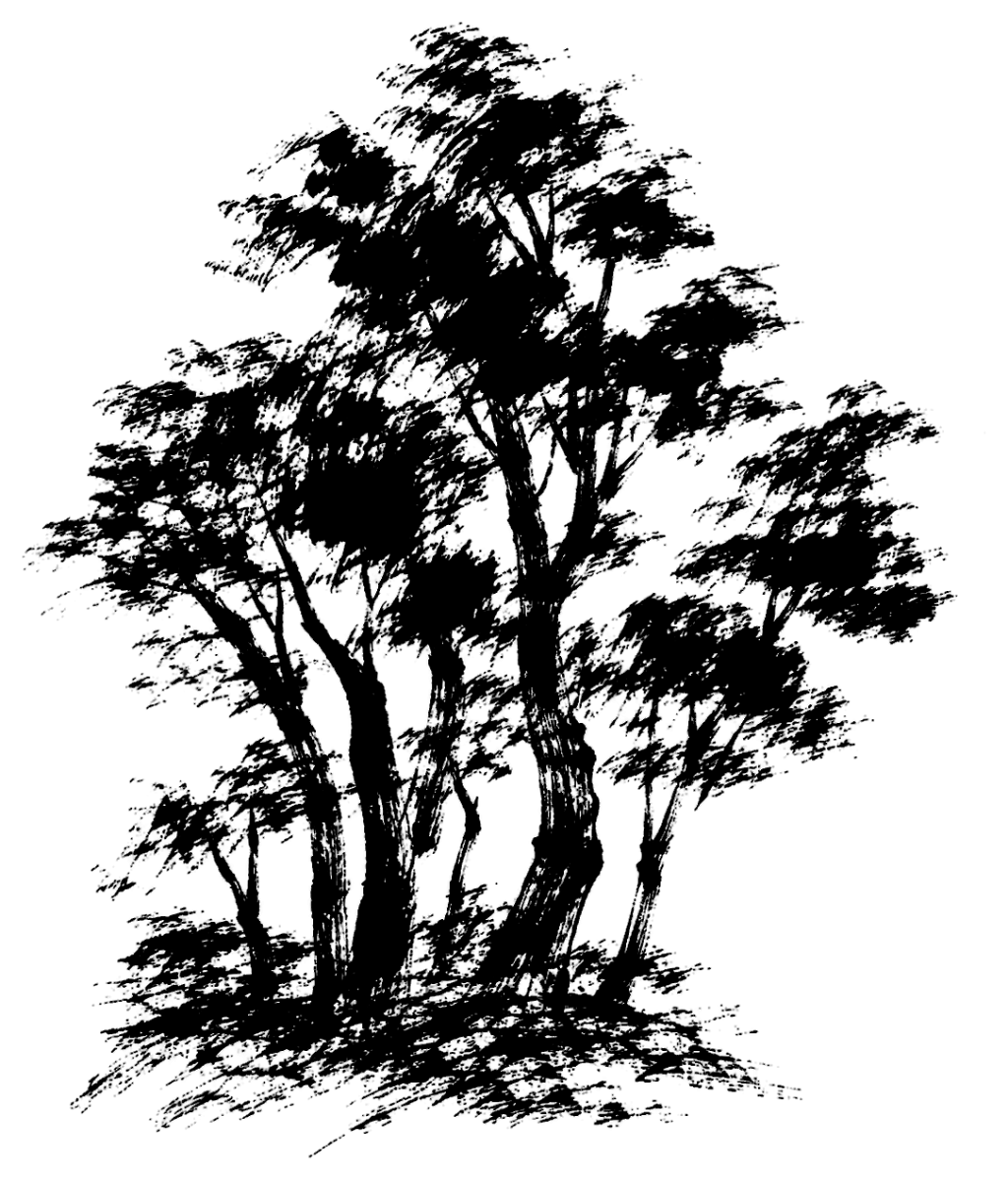 木立