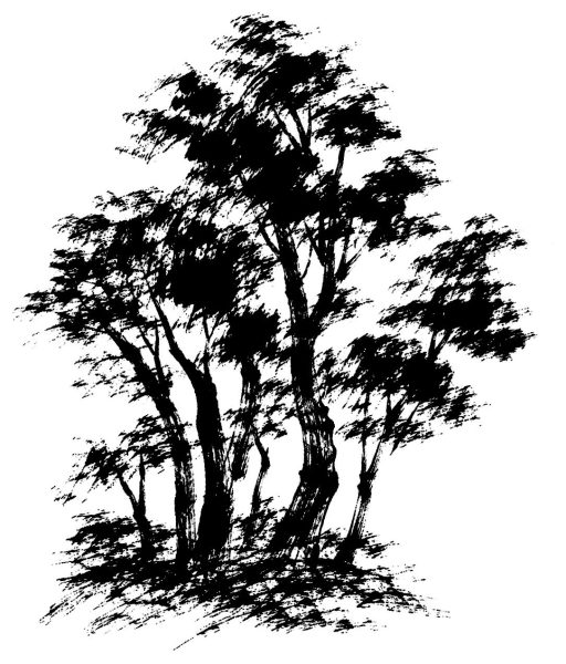 木立