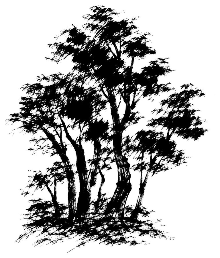 木立