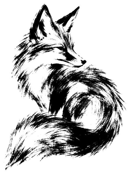 狐