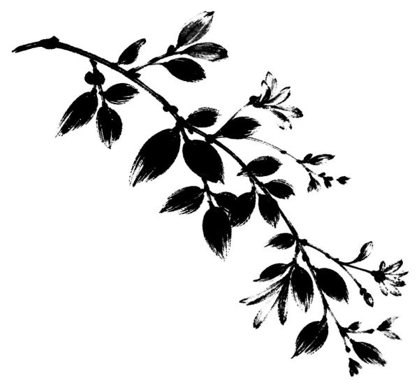 萩
