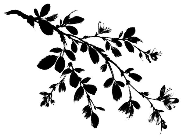 萩