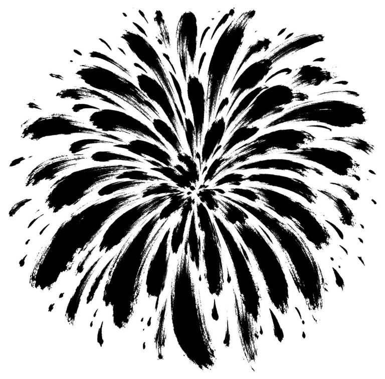 大輪の花火