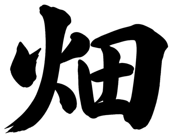畑