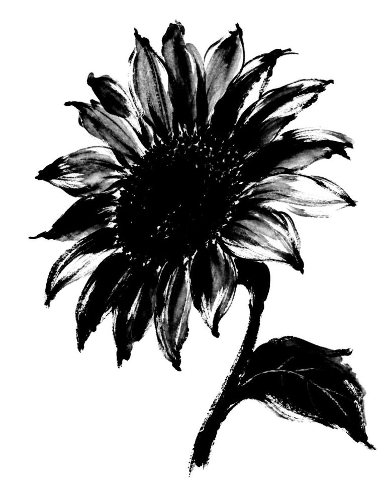 向日葵の絵