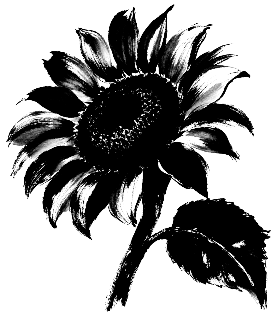 向日葵の絵の筆文字フリー素材