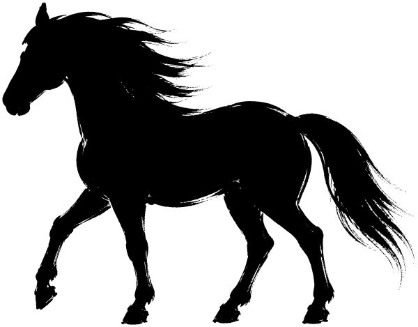 馬