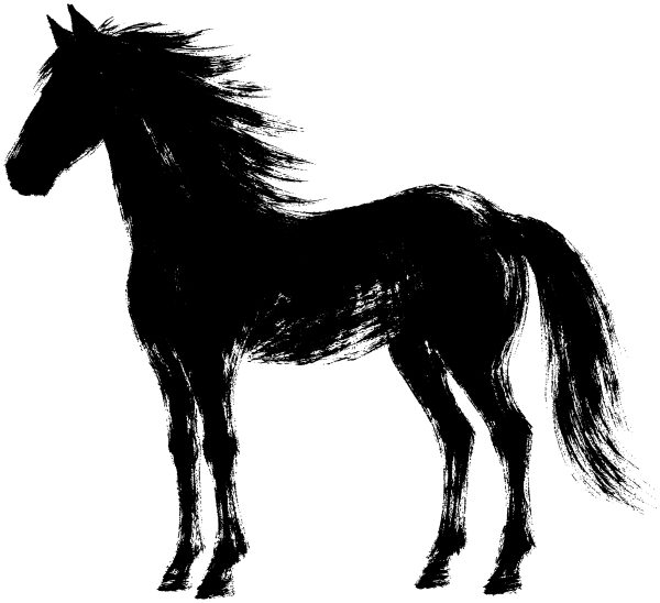 馬