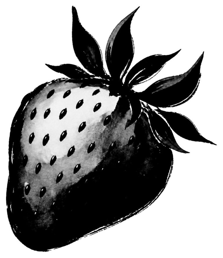 苺の絵