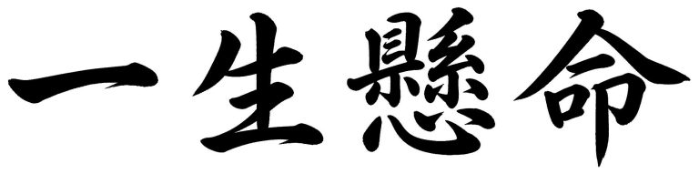 一生懸命