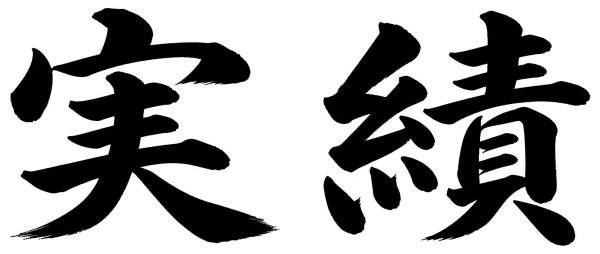 実績