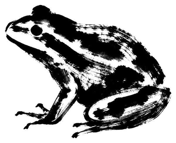 蛙