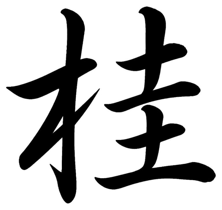 桂
